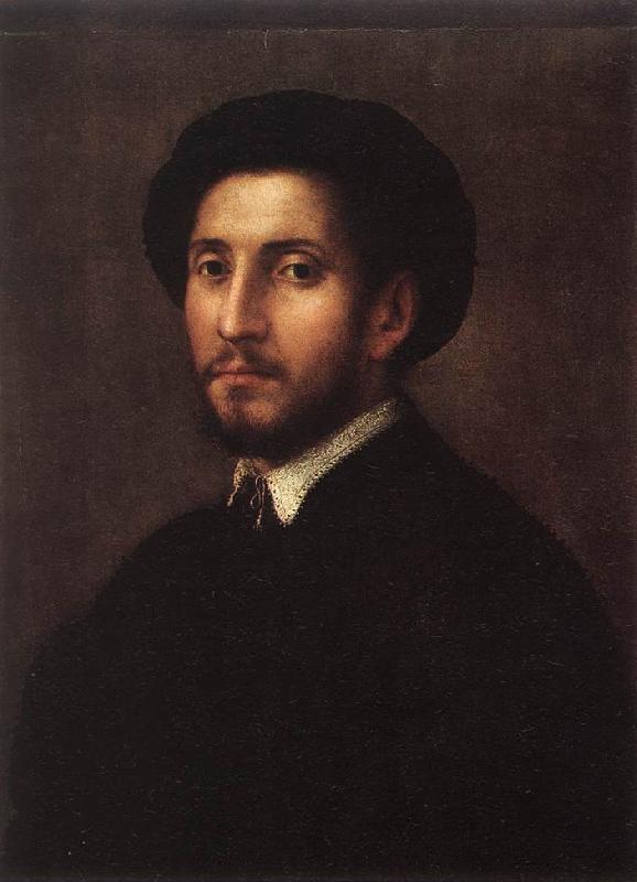 FOSCHI, Pier Francesco Portrait of a Man sdgh Germany oil painting art